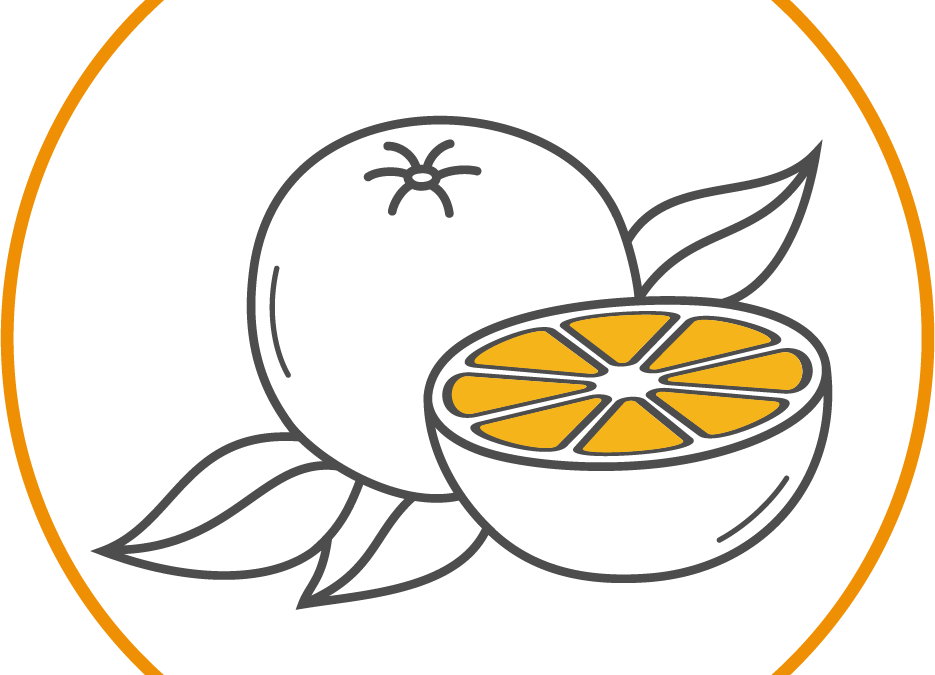 FRUKTOTERAPIA (FRUCTOTHERAPY)  WZMOCNIJ SWÓJ ORGANIZM  Z POMOCĄ OWOCÓW  KURS 06/12 2025