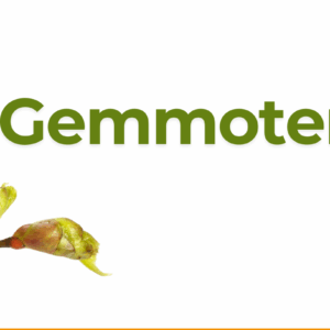 test produktu cyfrowego GEMMOTERAPIA