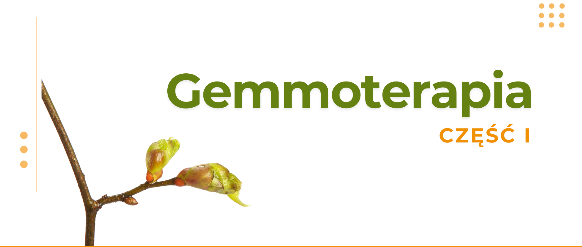 Gemmoterapia cz I