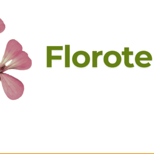 test produktu cyfrowego FLOROTERAPIA
