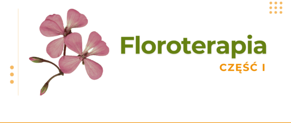 test produktu cyfrowego FLOROTERAPIA