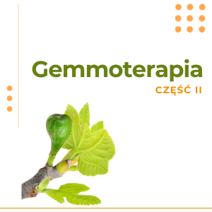 GEMMOTERAPIA CZĘŚĆ II