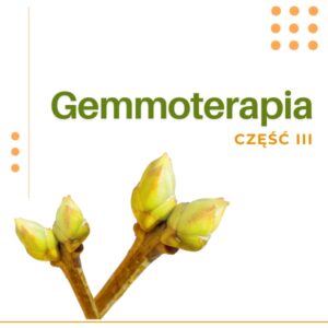 GEMMOTERAPIA CZĘŚĆ III