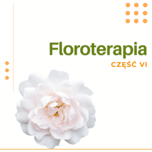 FLOROTERAPIA CZĘŚĆ VI