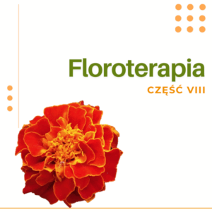 FLOROTERAPIA CZĘŚĆ VIII