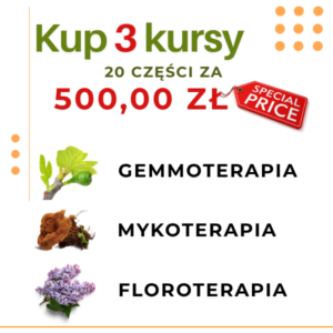PAKIET 3 SZKOLEŃ - 20 CZĘŚCI W CENIE PROMOCYJNEJ
