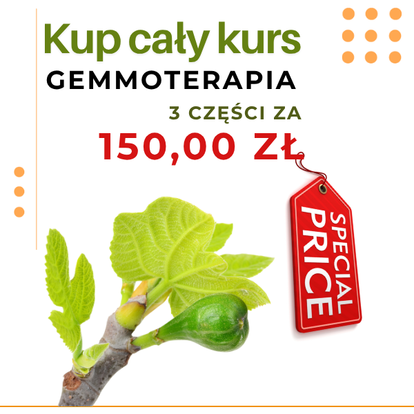 GEMMOTERAPIA – PAKIET 3 CZĘŚCI W CENIE PROMOCYJNEJ